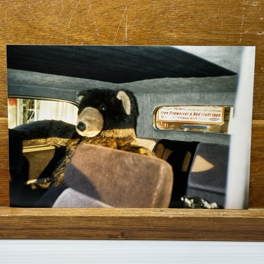 Vintage Photo Plush Black Bear in Car Budweiser Bud Light Vikings Chicago Sign